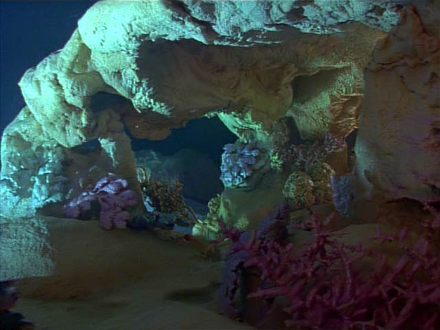Коралловая пещера