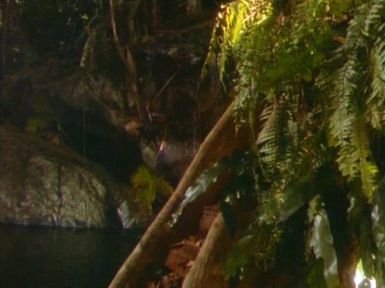 Остров Нери – ступеньки в 'гнездо'